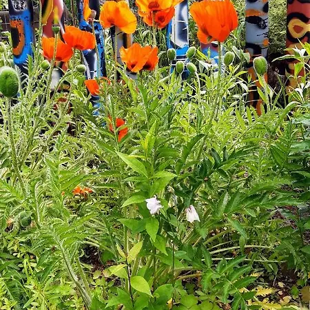 Am Kamskefliess Σπίτι διακοπών