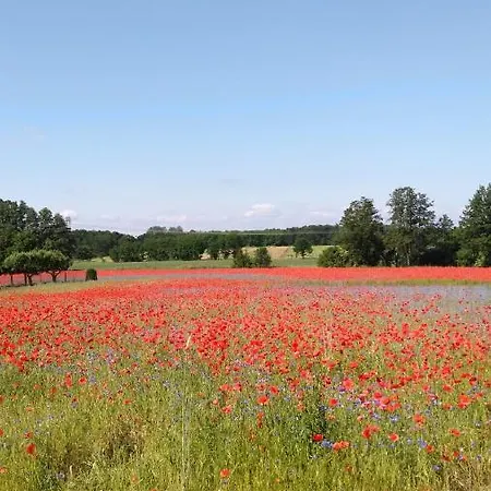 Σπίτι διακοπών Am Kamskefliess Lübbenau