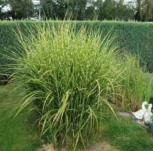 Am Kamskefliess * Lübbenau