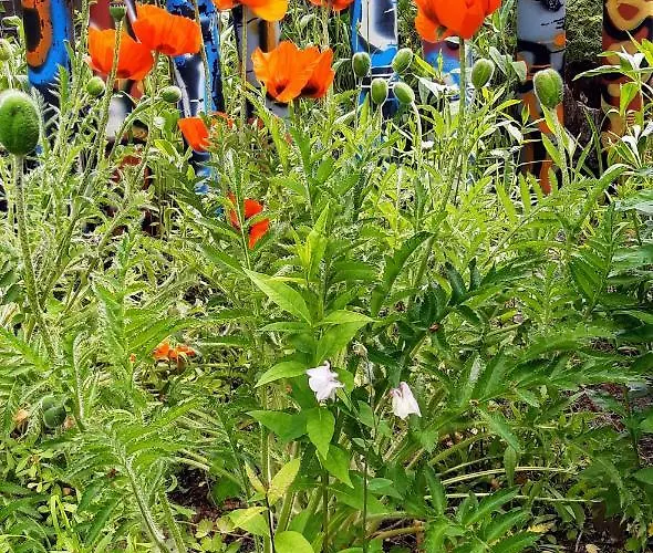 Am Kamskefliess Casa de Férias