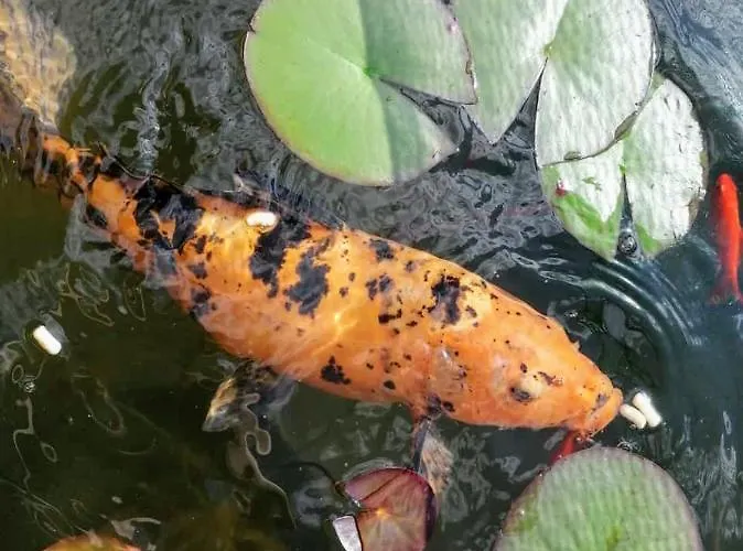 Casa de Férias Am Kamskefliess Lübbenau