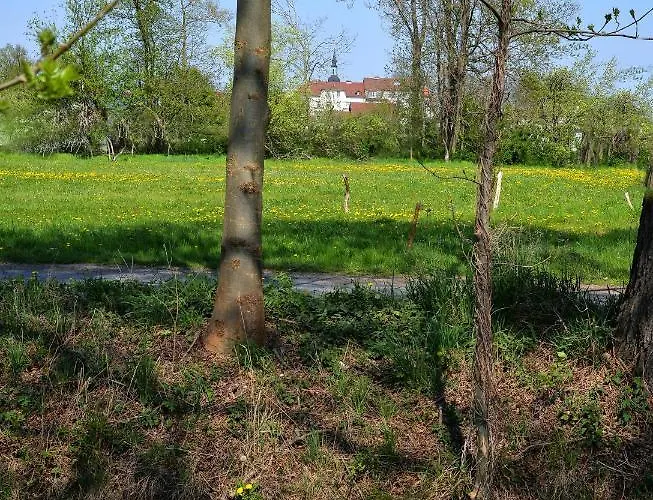 Casa de Férias Am Kamskefliess *