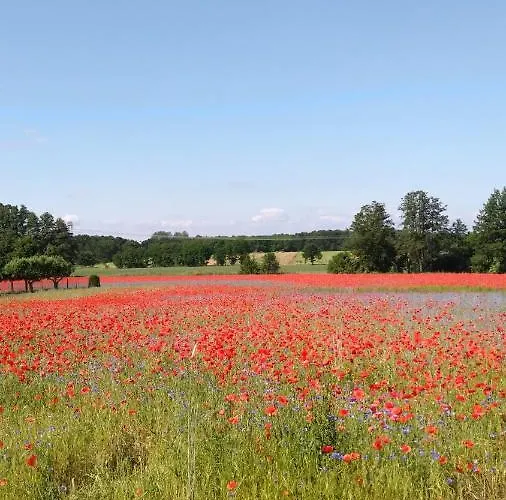 بيت للعطل Am Kamskefliess لوبنو